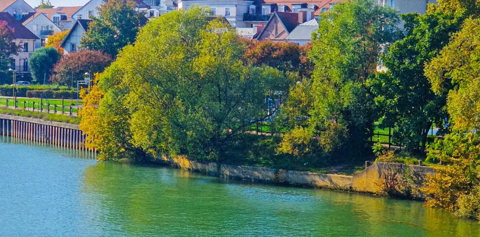 pexels-ramses-2-263452984-35216896