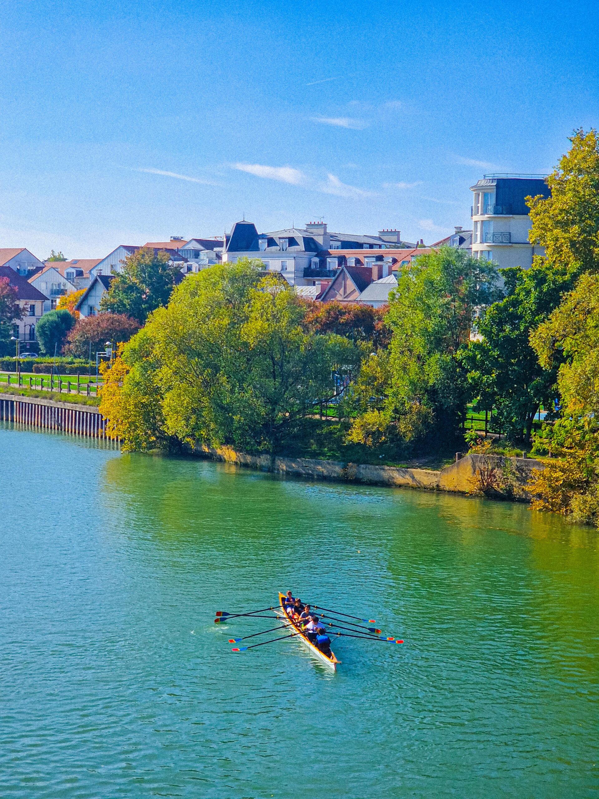 pexels-ramses-2-263452984-35216896